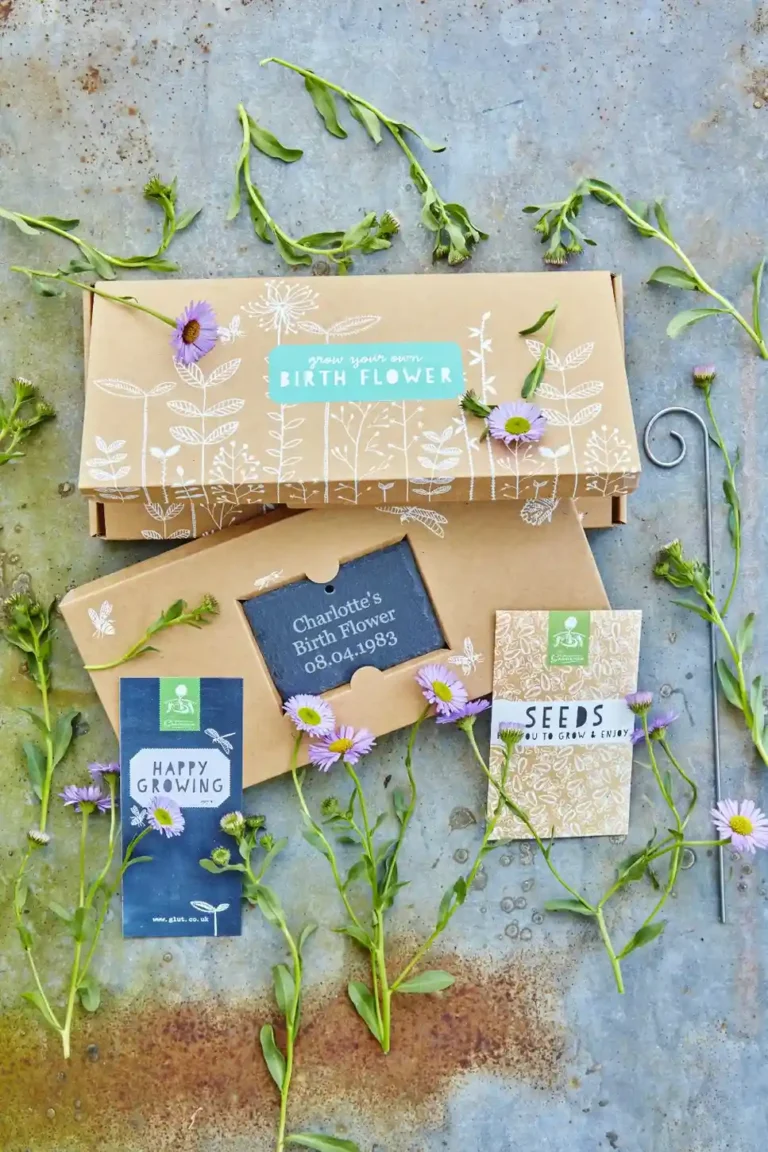 A beautifully decorated cardboard gift box for growing birth flowers with a personalised engraved garden slate. a packet of seeds and a gift card with arrangement of lilac aster flowers decoratively framing the gift set.