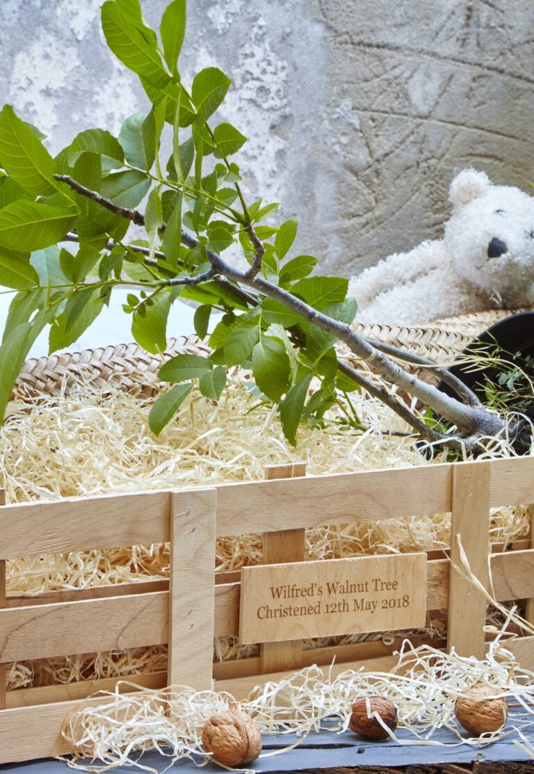 The Christening Gift Crate. This includes a young walnut tree in front of The gluttonous gardener's personalised wooden gift boxes.