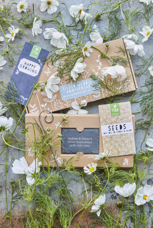 A decorated cardboard presentation box for a silver wedding anniversary with a selection of three packets of seeds, a large garden slate and a gift card, surrounded by white flowers of Lady's Lace, Cosmos Bipinnatus and White Beeblossom.