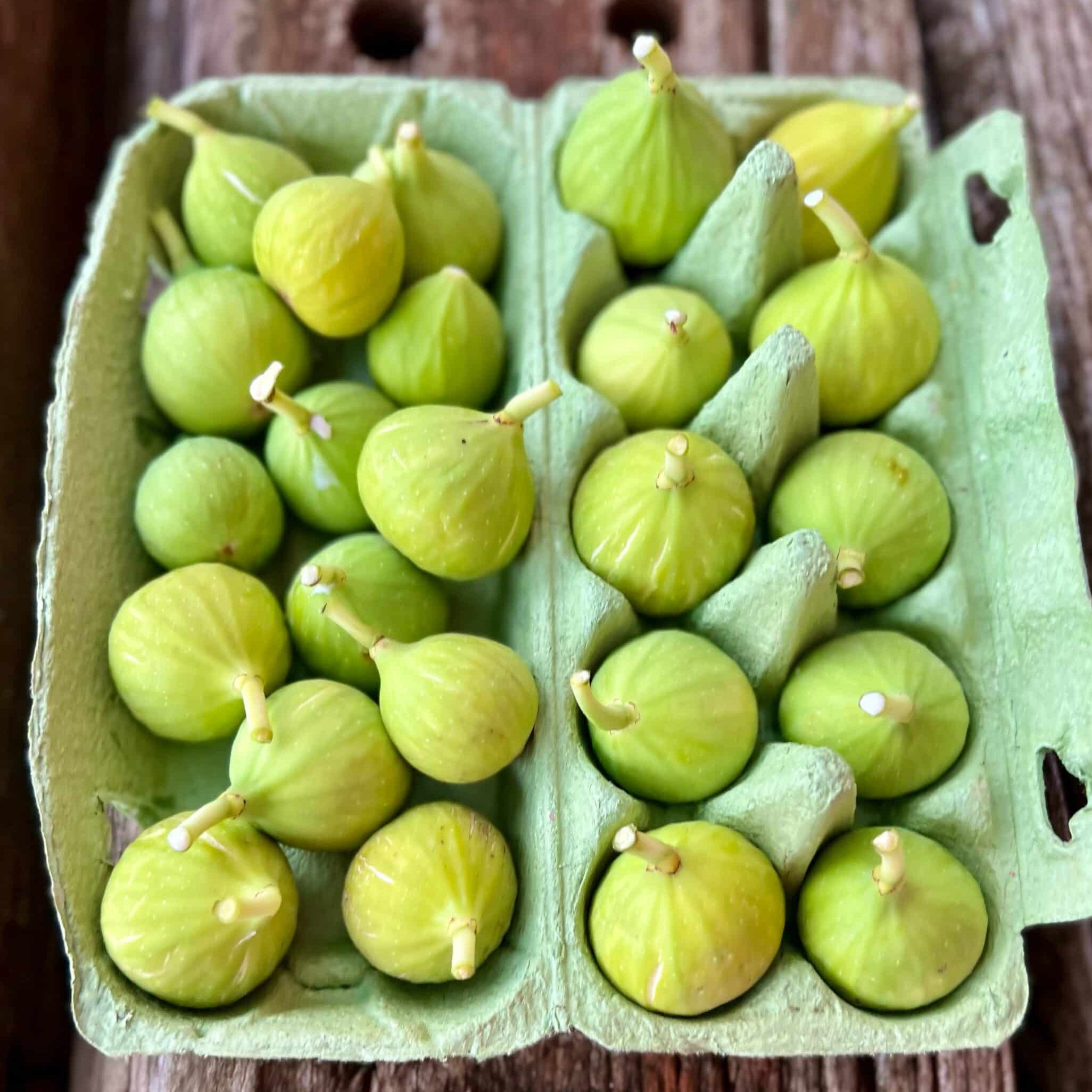 Close up of small green Figs in green egg carton.