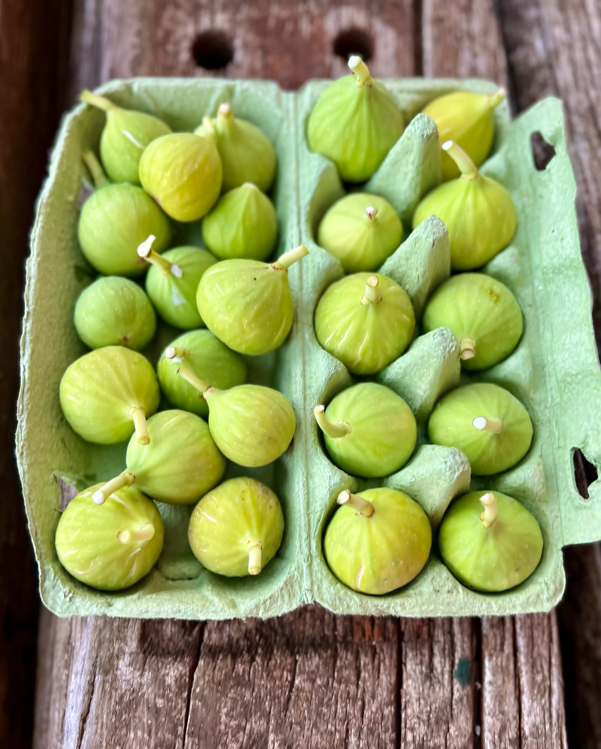 Close up of small green Figs in green egg carton.