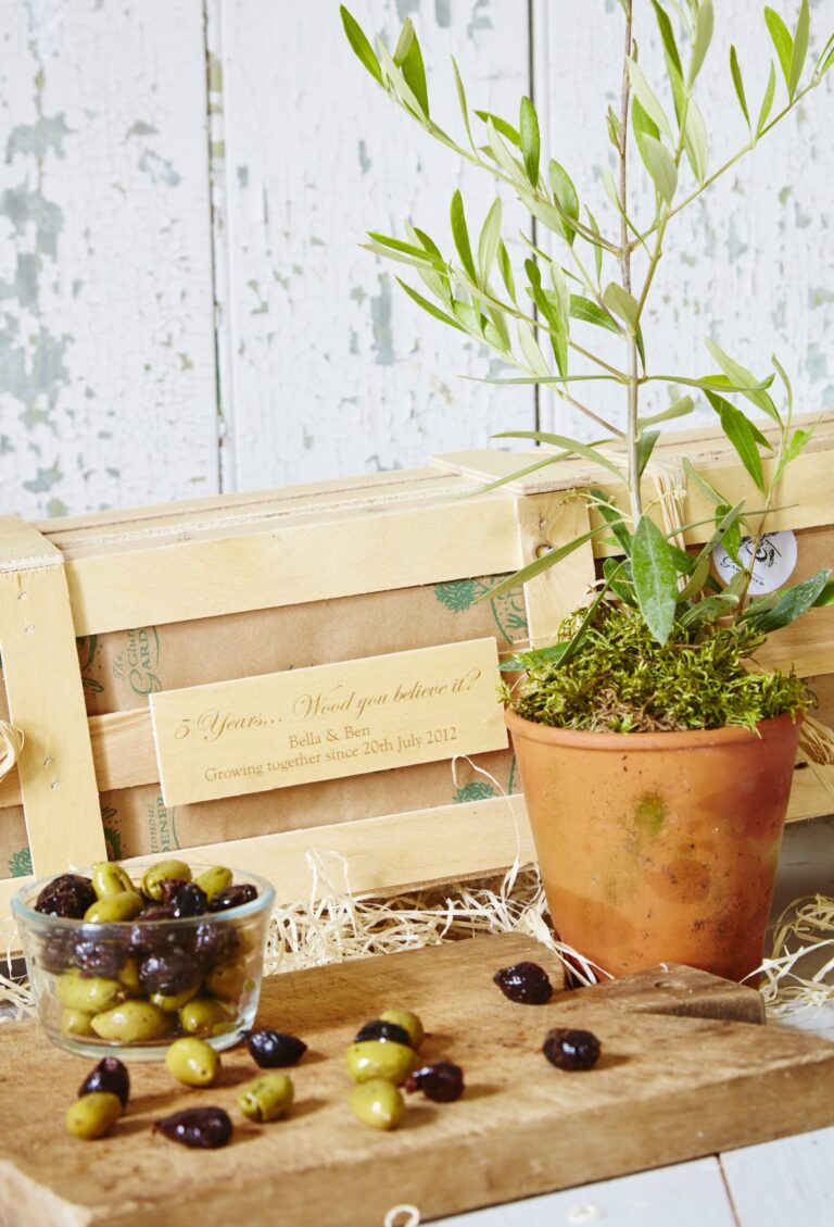 Mark a 5th wedding anniversary with a personalised olive tree – a unique wooden gift symbolising peace, growth and lasting love.