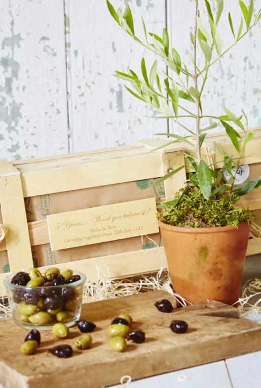 An ensemble of a small olive tree in a terracotta pot next to a wooden board with a small glass jar filled with green and black olives and a few olives spread across the board. A wooden gift crate in the background with a personalised wooden plaque.