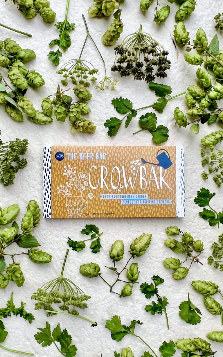 An orange beer growbar surrounded by twigs of coriander, anise flowers and twigs of hops.