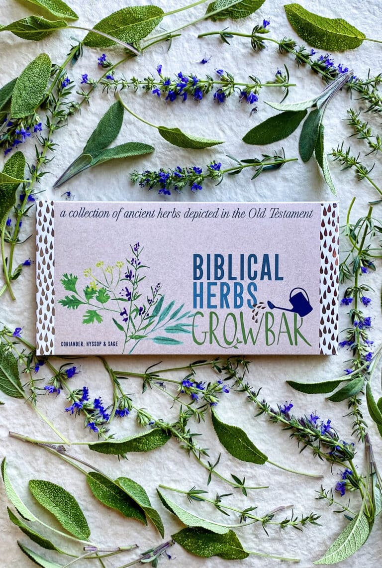 A biblical herbs grow bar surrounded by an arrangement of sage leaves and blue hyssop flowers.