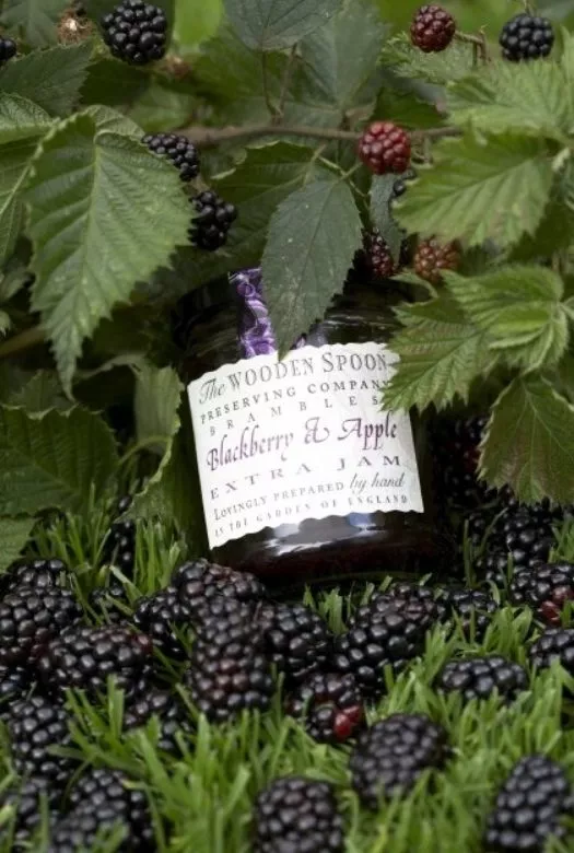 A jar of Blackberry & Apple Extra Jam nestled in a bed of green grass, covered with ripe fresh blackberries and leafy fruit-bearing blackberry bush hanging over the jar.