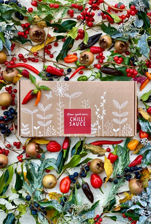 A grow your own chilli sauce gift box surrounded by a selection of vegetables, fruits and herbs, red chillies, yellow chillies, Habanero. Jalapeno, Serrano chillies, Medlar fruits, dried leafs, twigs with red berries and black berries