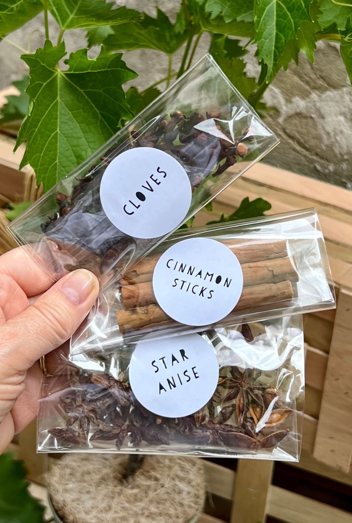 Cloves, cinnamon sticks and star anise packaged individually in clear plastic bags being held by hand.