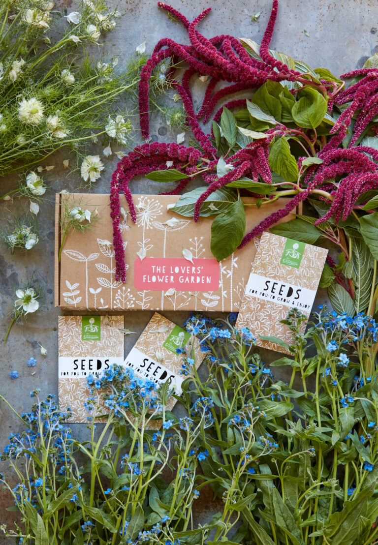 A beautiful composition of a decorated cardboard gift box for a lovers' garden with a personalised large hanging garden slate, a trio of packets of seeds with a bunch of blue forget-me-nots on the bottom. a big bunch of deep pink Amaranthus flowers on the right and a bunch of Nigella flowers on the top.