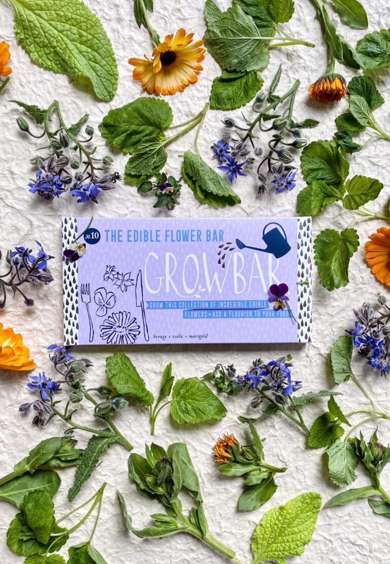 A lilac growbar for edible flowers surrounded by green leaves and purple flowers of Borage & orange flowers of Marigold.