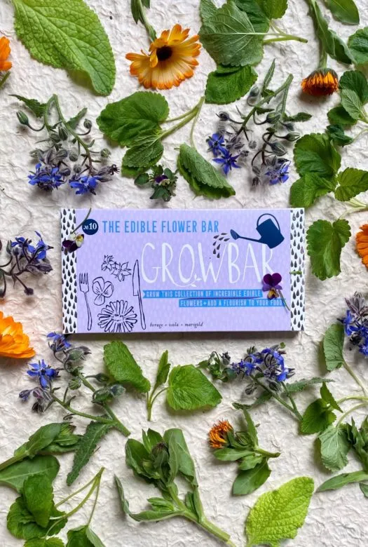 A lilac growbar for edible flowers surrounded by green leaves and purple flowers of Borage & orange flowers of Marigold.