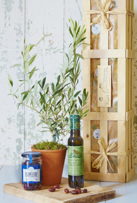 A young olive tree in a terracotta pot on a wooden board with paired with a bottle of extra virgin olive oil and a small jar of black olives, a few olives placed on the board. A wooden gift crate in the background.