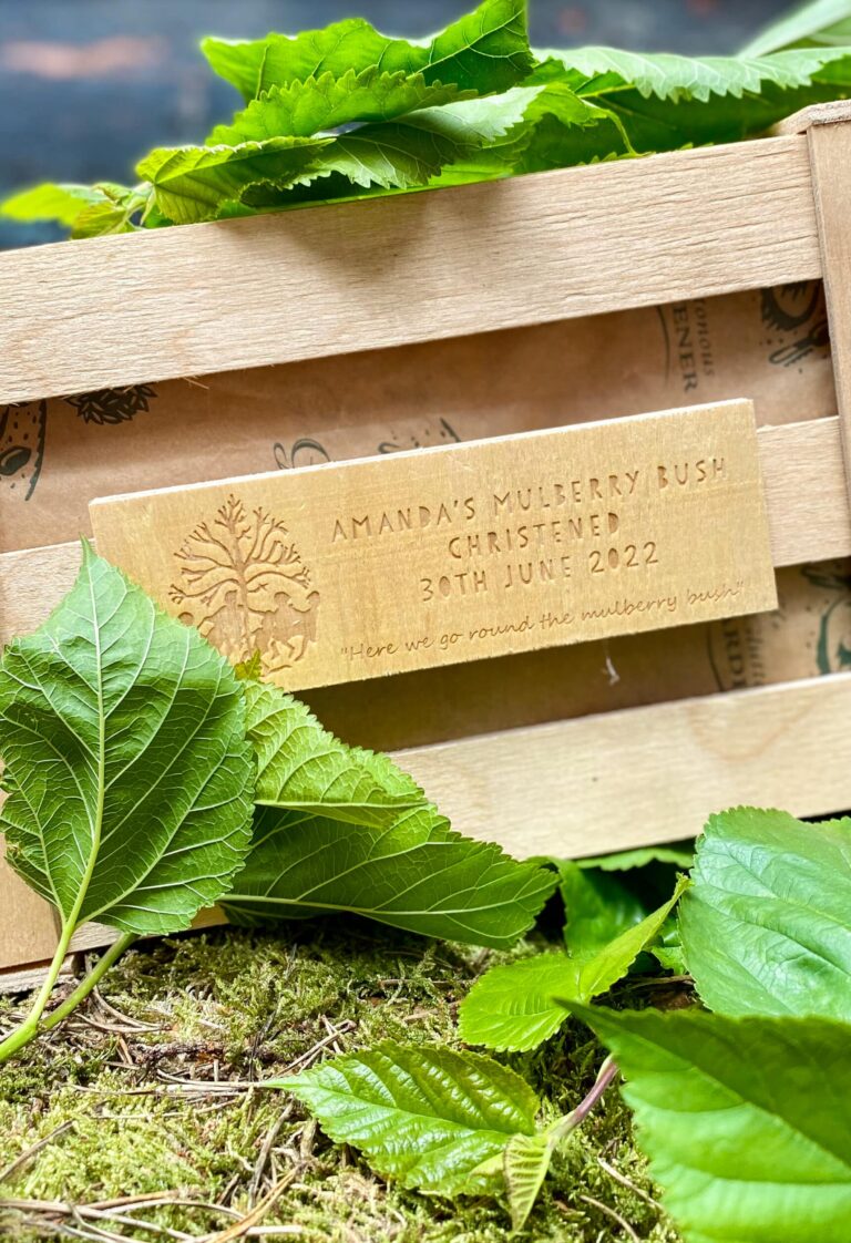 A wooden gift crate with a personalised wooden plaque taht is surrounded by a few green leaves of the Mulberry bush, placed on green moss.