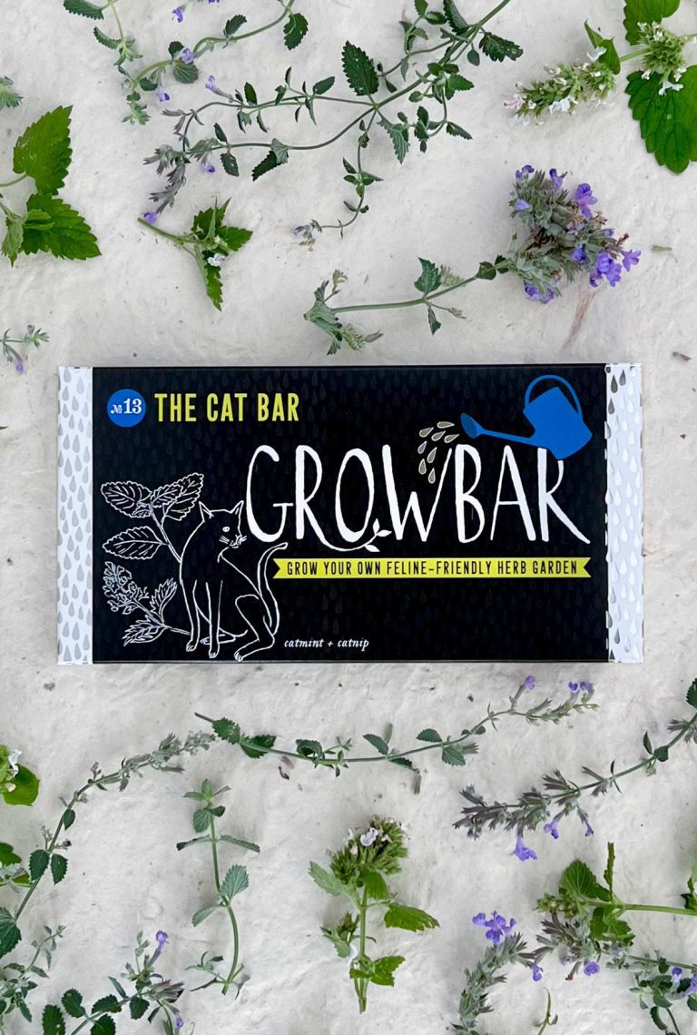 The Cat Bar against a white background displayed with flowers and plants from the bar.