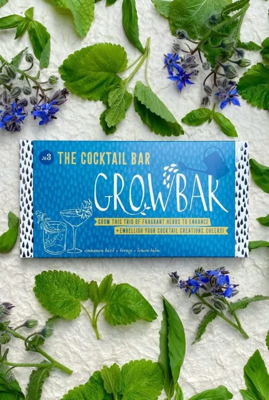 A blue growbar packet for growing cocktail herbs surrounded by fresh cinnamon plants, lemon balm leaves and purple borage flowers.