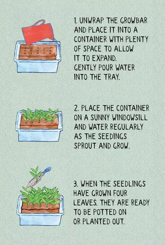 A three-step instruction for the growbars together with three colorful graphic images.