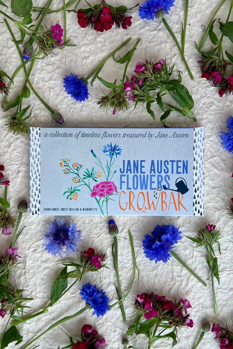 The Jane Austen Bar being shown with the different pink and blue flowers from the bar.