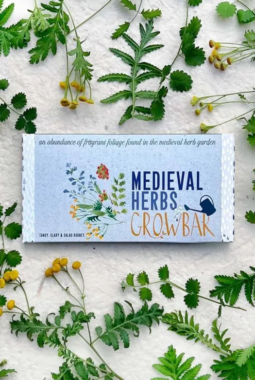 A Growbar of medieval herbs with yellow tansy flowers, clary plant leaves and salad burnet leaves spread around it.