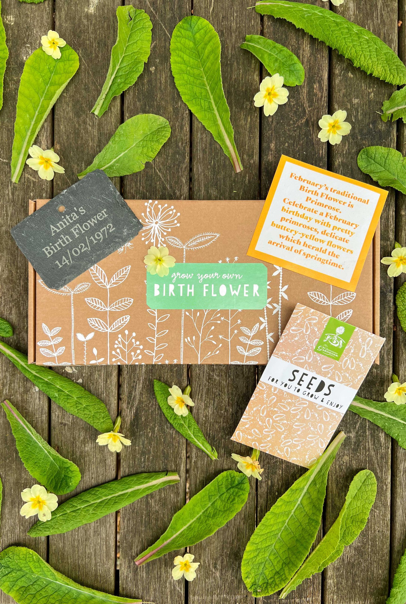 A February Birth Flower seed box shown with personalised slate, seed packet, information insert and decorative flowers.