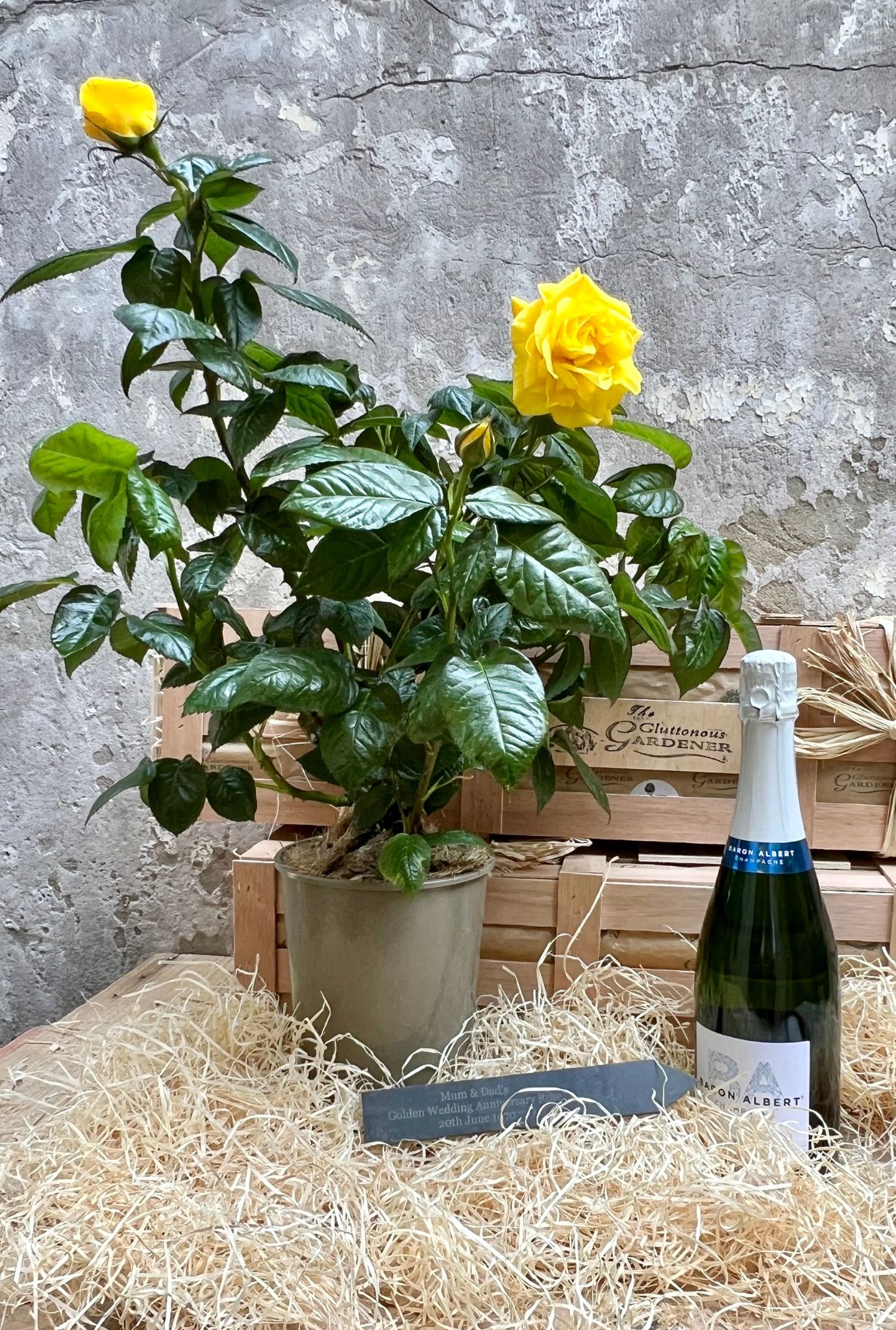 Potted Golden Rose with two yellow roses. Shown with a bottle of champagne, engraved slate and wooden crates.