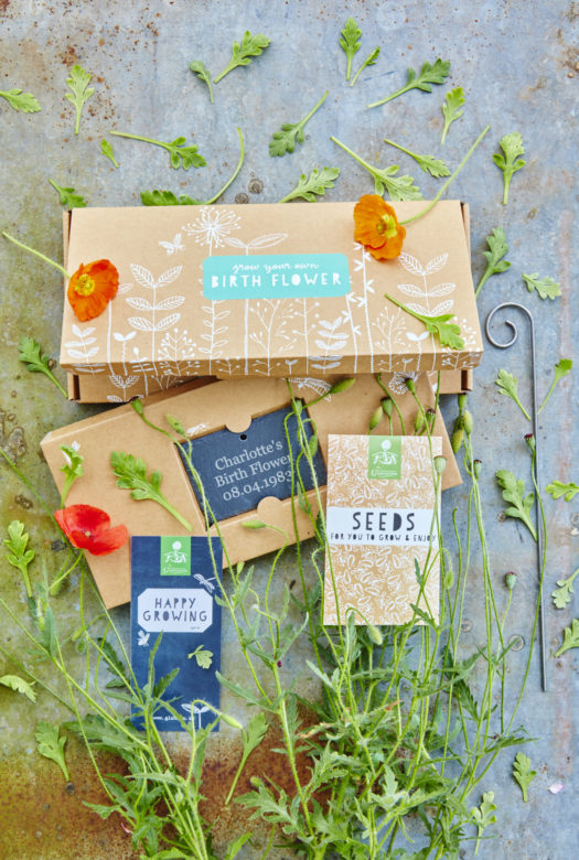 A beautifully decorated cardboard gift box for growing birth flowers with a personalised engraved garden slate. a packet of seeds and a gift card with arrangement of red Poppy flowers decoratively framing the gift set.