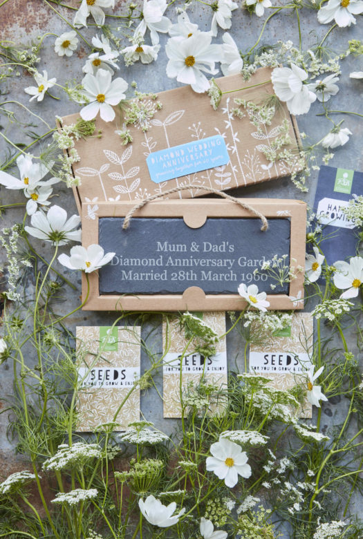 A decorated cardboard presentation box for a diamond wedding anniversary with a large personalised hanging garden slate, a gift card and three packets of seeds decoratively adorned with a loose bouquet of Lady’s Lace (Ammi Majus), Cosmos Bipinnatus (Purity) and White Beeblossom (Gaura lindheimeri) and some white flower heads of the same sort loosely spread around the gift set.