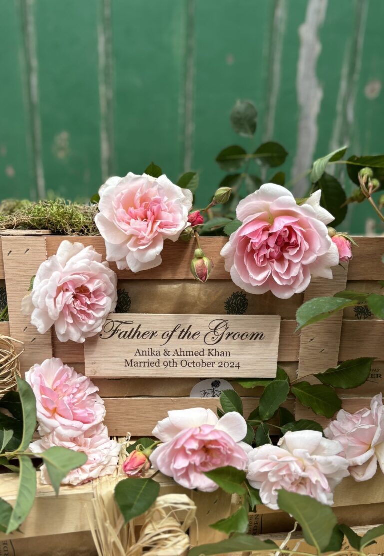 Discover heartfelt Father of the groom gift ideas! This personalised crate featuring a rose bush is a perfect way to show your appreciation.