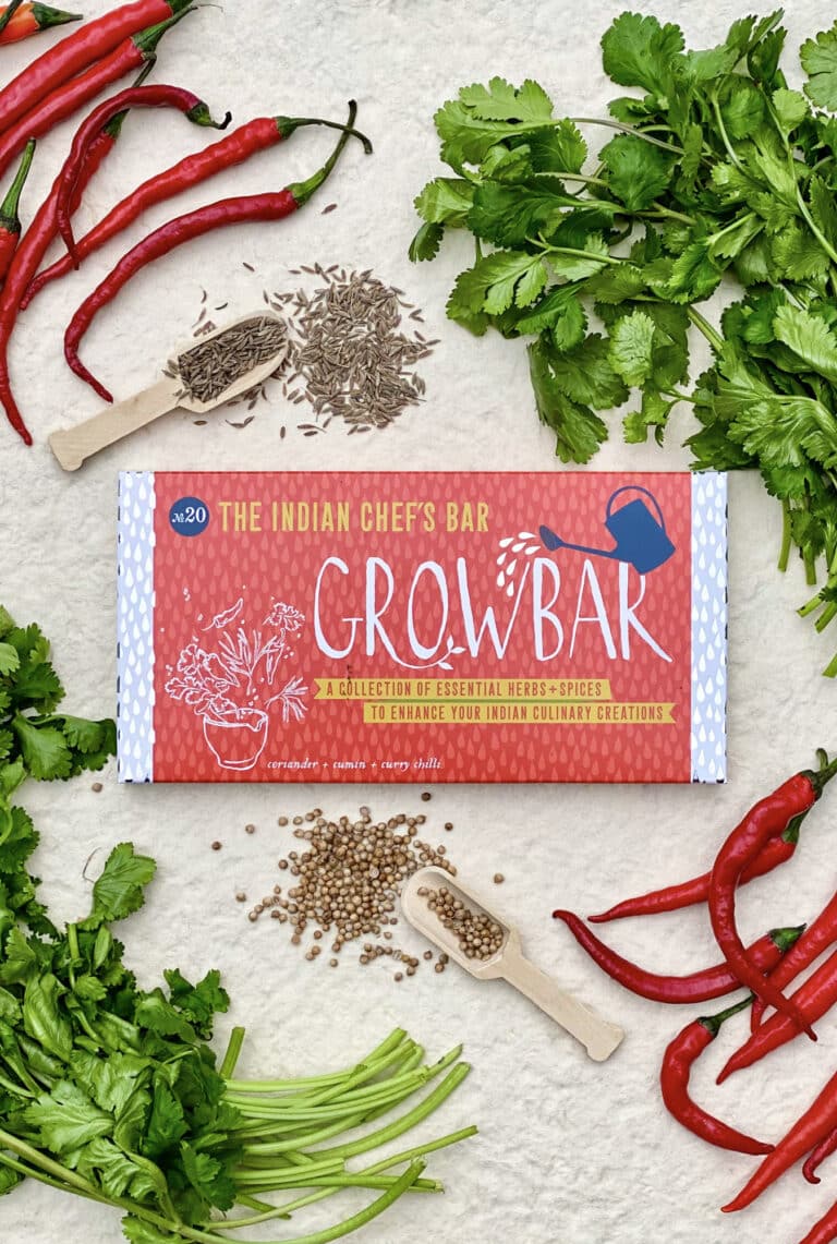 A red indian chef's growbar surrounded by two bunches of fresh green coriander, a wooden spoon with cumin seeds and a wooden spoon with coriander seeds and red curry chillies.