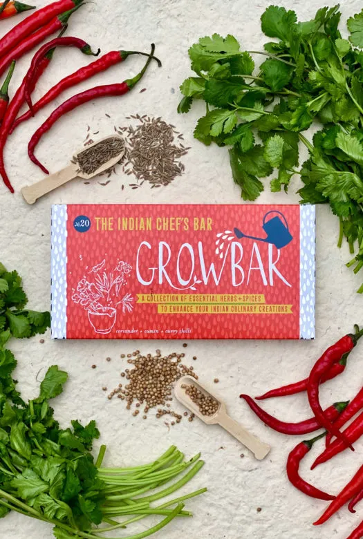 A red indian chef's growbar surrounded by two bunches of fresh green coriander, a wooden spoon with cumin seeds and a wooden spoon with coriander seeds and red curry chillies.