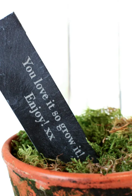 Close up of a personalised engraved slate plant stake that reads ' You love it so grow it! Enjoy! xx' placed in a moss covered terracotta pot that is covered in soil behind a white background