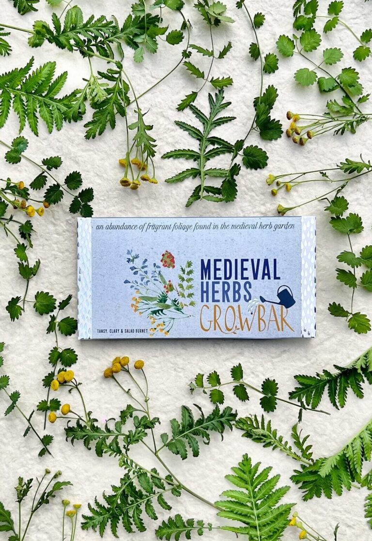 A Growbar of medieval herbs with yellow tansy flowers, clary plant leaves and salad burnet leaves spread around it.