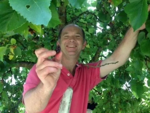 A smiling man holding a Blackberry underneath a large tree with green foliage.