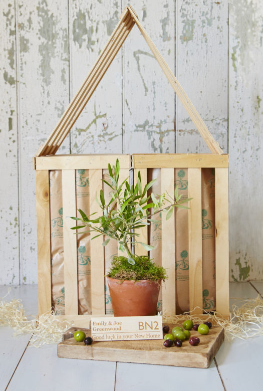 A small olive tree in a terracotta pot on a wooden board with green and black olives and a personalised engraved wooden plaque leaning against the plant. Two large wooden gift crates in the shape of a house nestled in wood wool in the background.