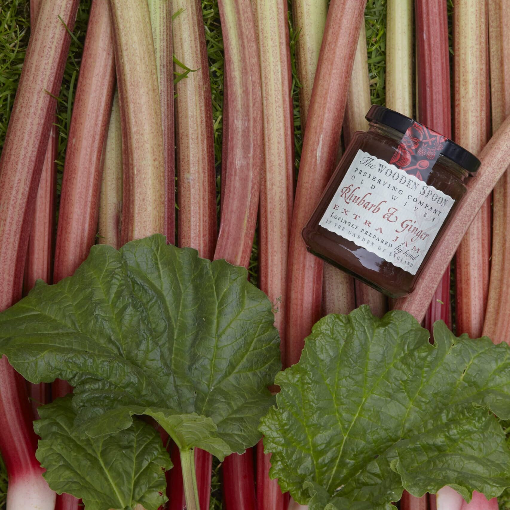 A glass jar of Rhubarb and Ginger Jam lying on top of a row of rhubarb sticks.