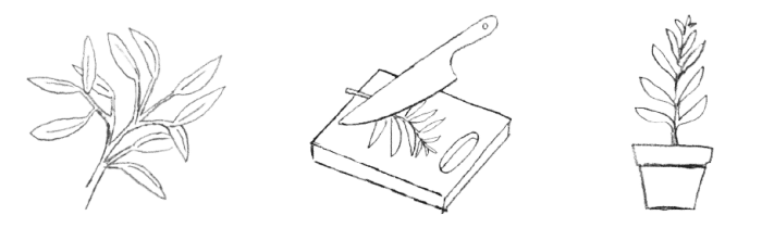 Illustrations of plant leaves, knife with chopping board and potted plant.