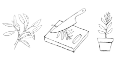 Illustrations of plant leaves, knife with chopping board and potted plant.