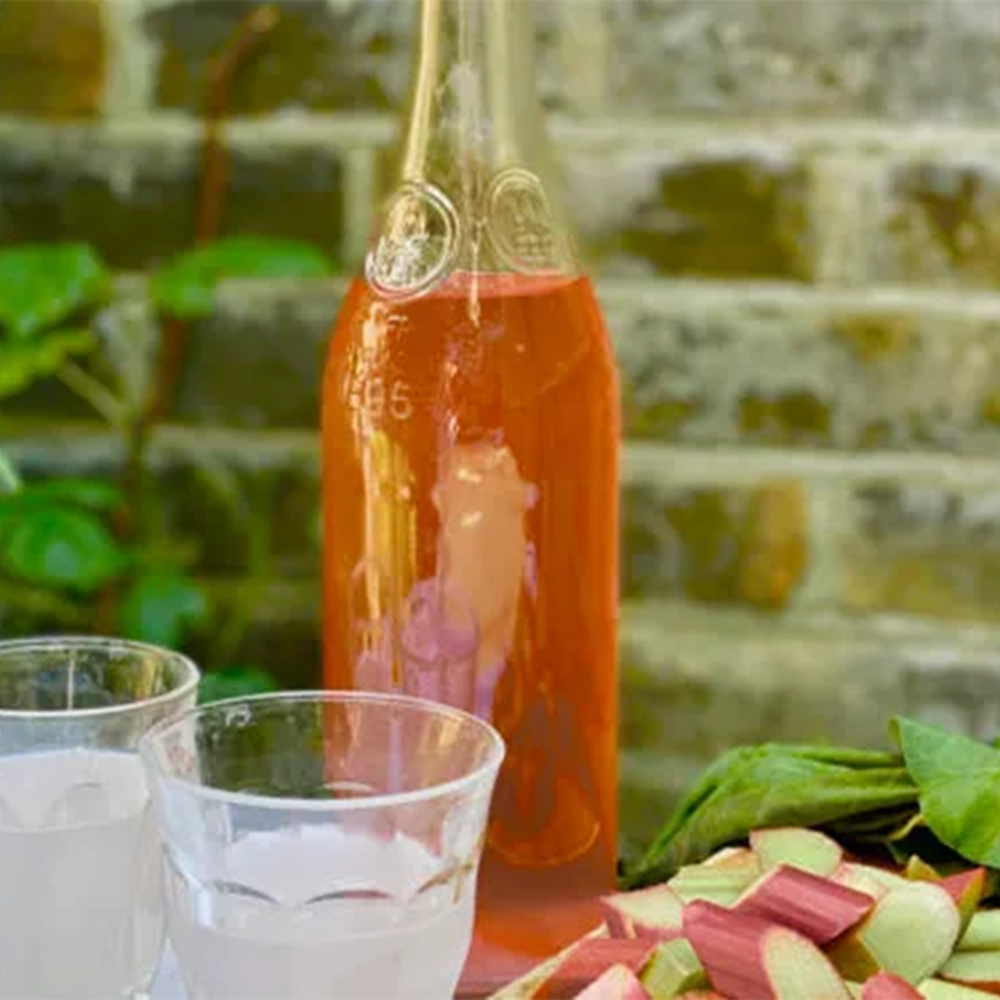 A large glass bottle filled with orange coloured rhubarb cordial, two small glasses with a milky drink and chopped rhubarb slices.