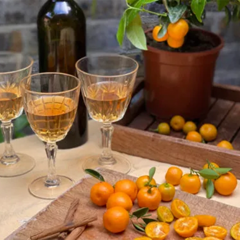 A trio of small wine glasses filled with orange wine next to a wooden board with whole and halves calamondin oranges and cinnamon sticks and a wooden tray with a calamondin orange tree in a plastic pot and a dark bottle standing next to it.