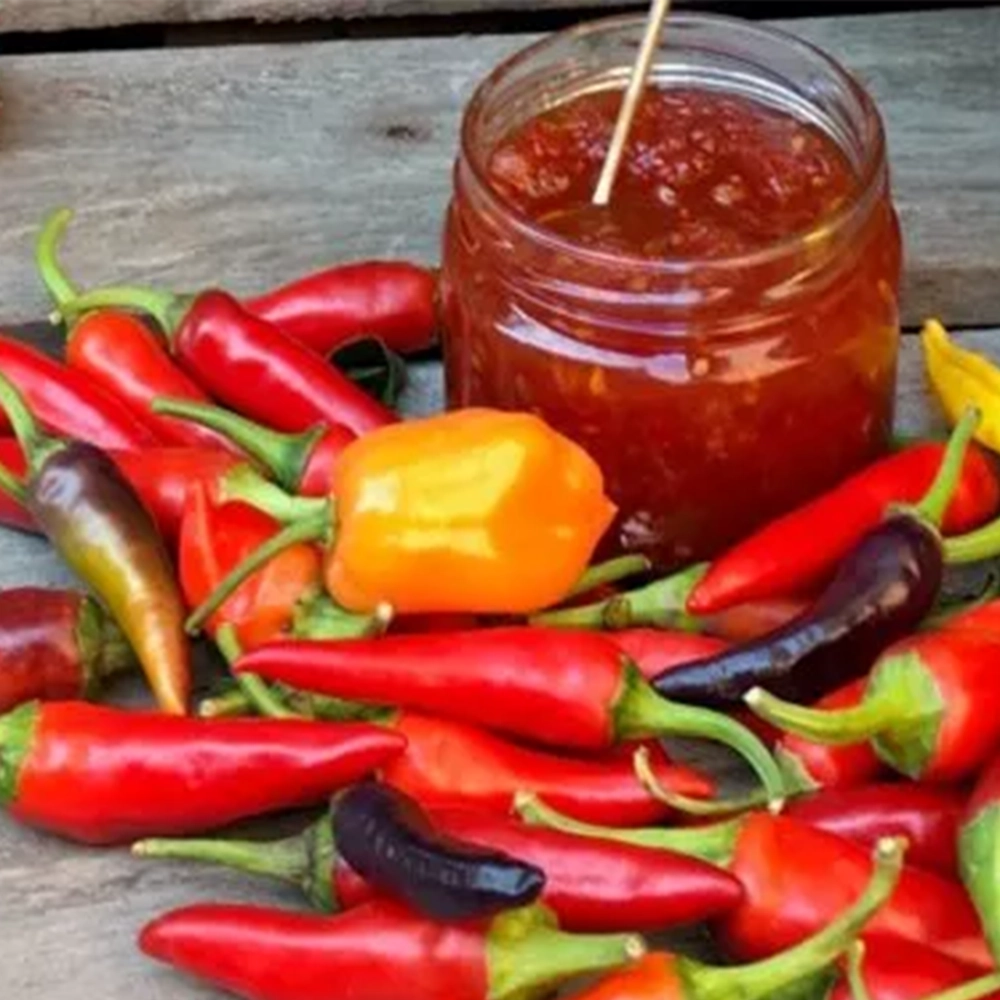 A jar filled with a red chilli jam nestled in a pile of red, orange and black chillies.