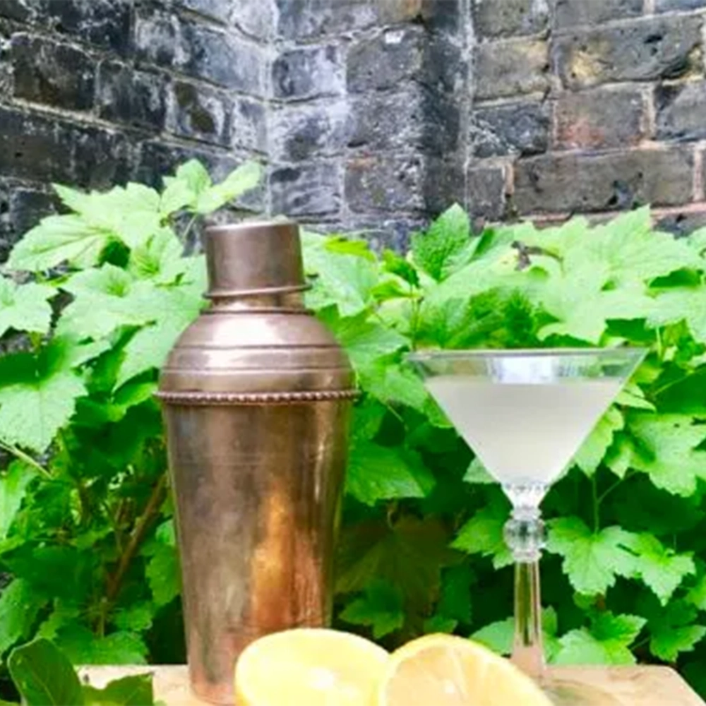 A martini glass with a cocktail, a bronze cocktail shaker and two slices of lime on a wooden board in front of green foliage.