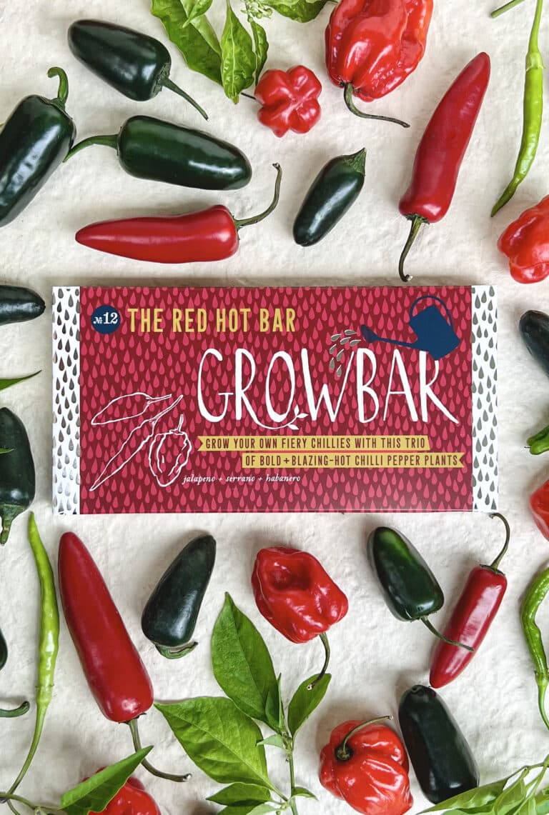 Red Hot Growbar with habanero, jalapeno, and serrano chilli plants ready to grow at home