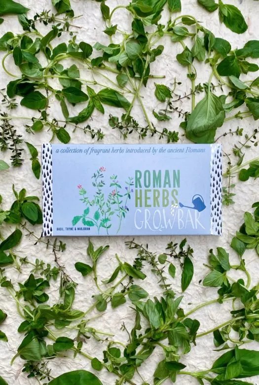 A light blue roman herbs growbar surrounded by marjoram leaves, thyme leaves and basil leaves.