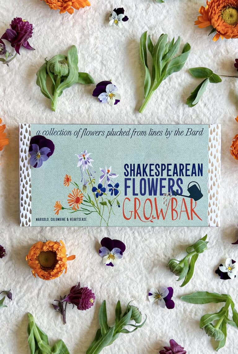 The Shakespearean Bar being shown with the different plants and flowers from the bar.