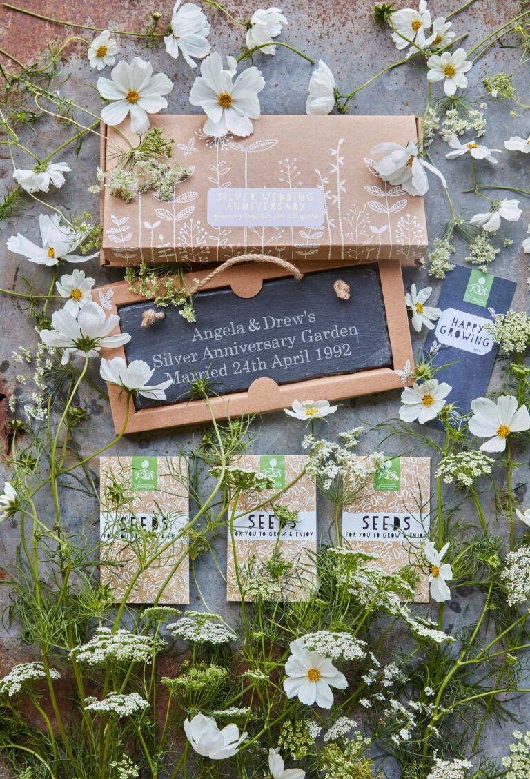 A decorated cardboard presentation box for a silver wedding anniversary with a selection of three packets of seeds, a large garden slate and a gift card, surrounded by white flowers of Lady's Lace, Cosmos Bipinnatus and White Beeblossom.
