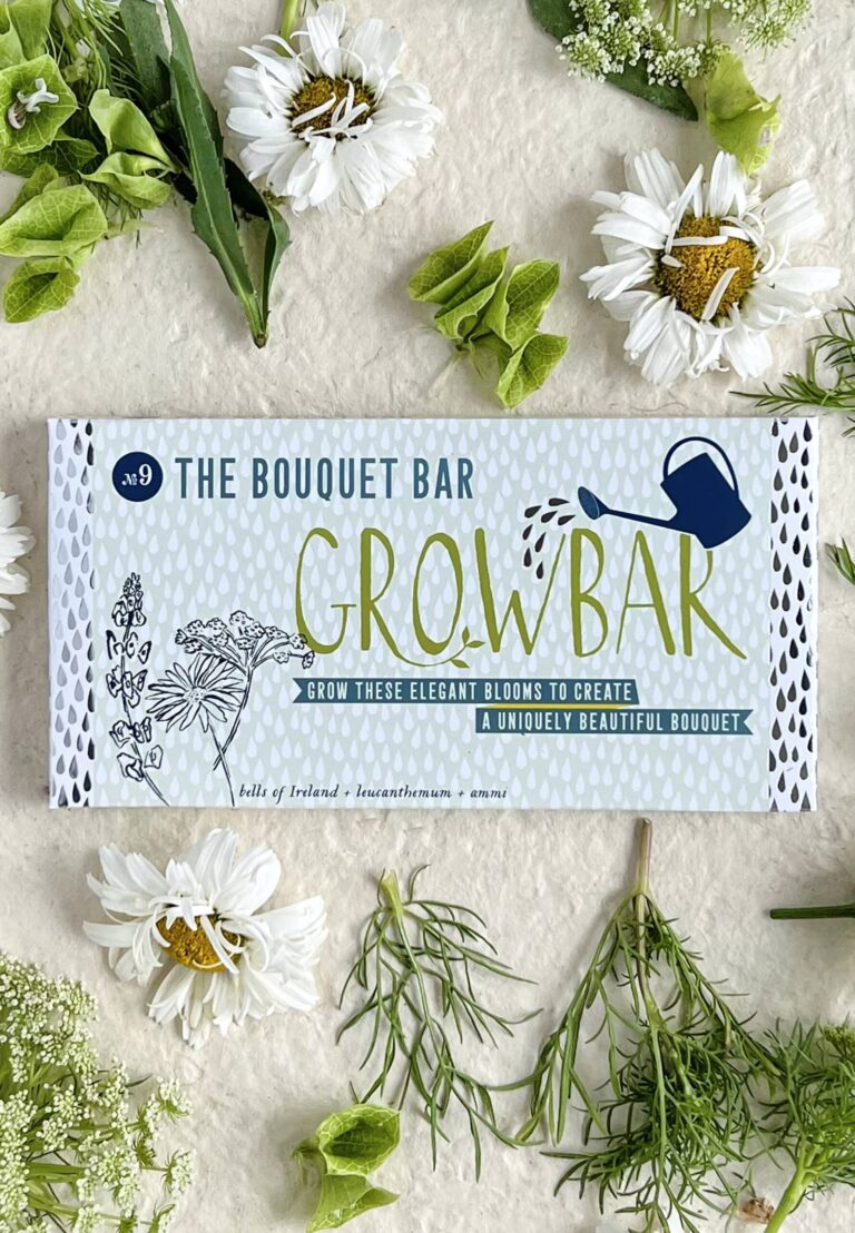 A pale blue growbar packet with flowers of Bells Of Ireland, Leucanthemum & Ammi decoratively placed around the growbar.