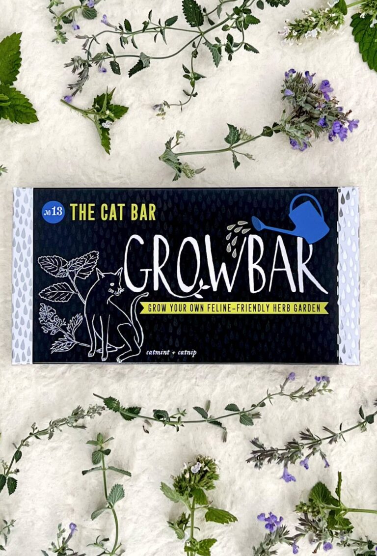 The Cat Bar against a white background displayed with flowers and plants from the bar.