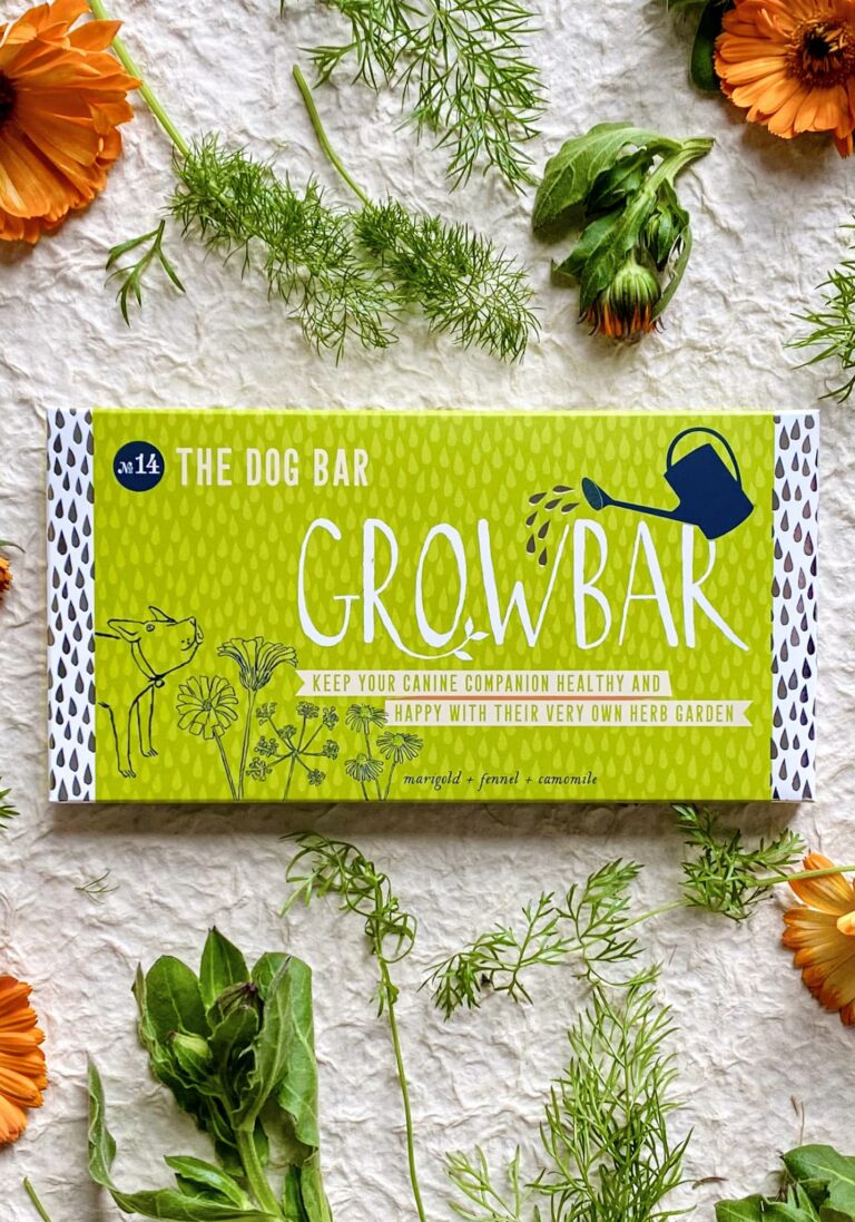 A green dog growbar on a white background surrounded by twigs of fennel, Camomile and marigold flowers.
