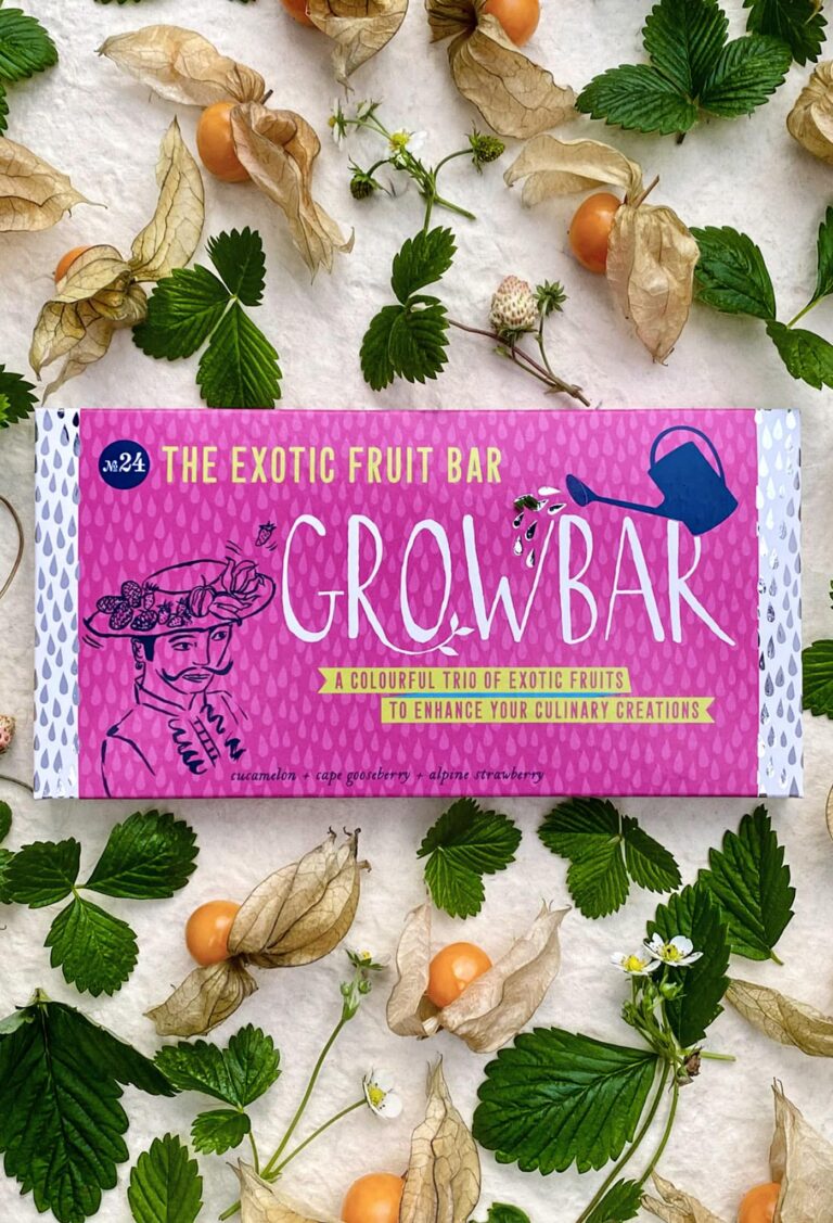 Grow your very own fruit garden! Cucamelons, Cape gooseberries, and alpine strawberries await you. It's the perfect plant gift!