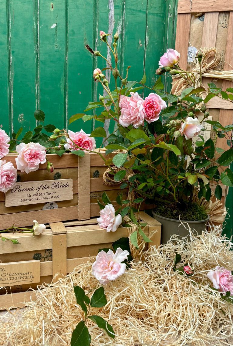 Express your love with our unique Parents of the bride gift ideas. Delight them with stunning pink roses and a beautiful reminder of the day. Order now!