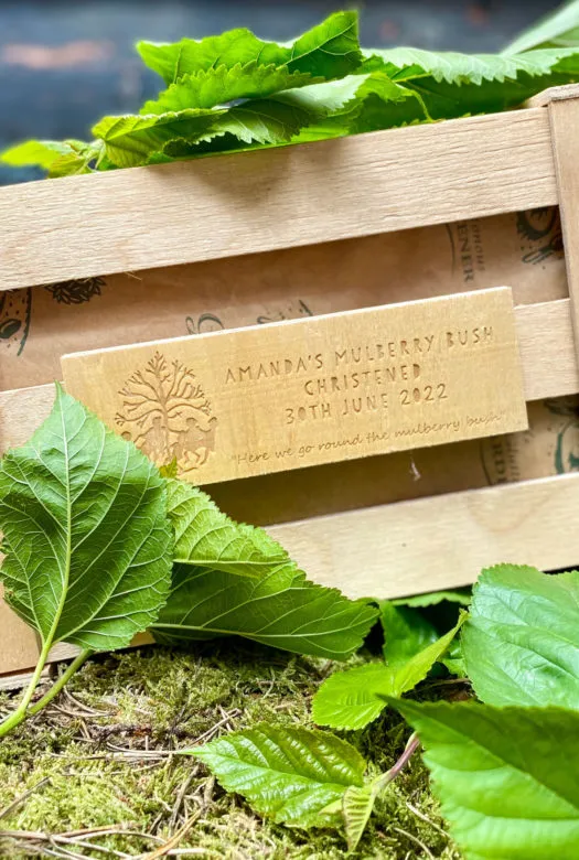 A wooden gift crate with a personalised wooden plaque taht is surrounded by a few green leaves of the Mulberry bush, placed on green moss.